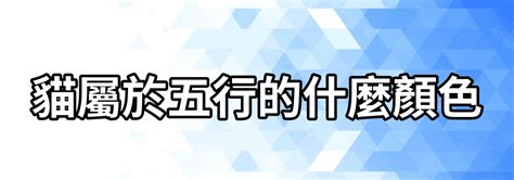 寵物五行|【貓屬五行】貓屬五行！釐清寵物五行與主人運勢的奧秘